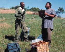 Gathering information for Zulu Botanical Knowledge Project