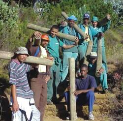 Kirstenbosch Estate team