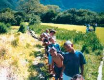 Educational trail in Kirstenbosch