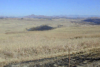 KZN burnt grassland