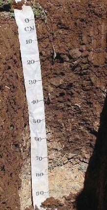 Soil profile of a dolerite derived Arcadia soil from Nieuwoudtville