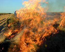Fire on the farm Glen Lyon, in the Bokkeveld